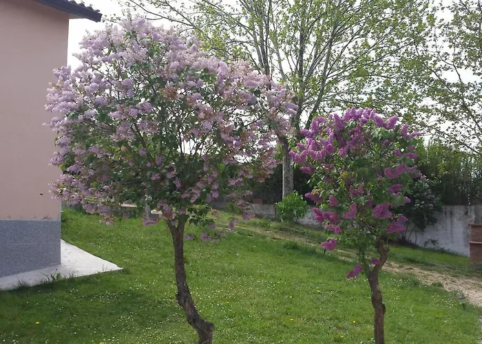 Casa Rural La Ermita Del Viso Монтеррубио-де-Армунья